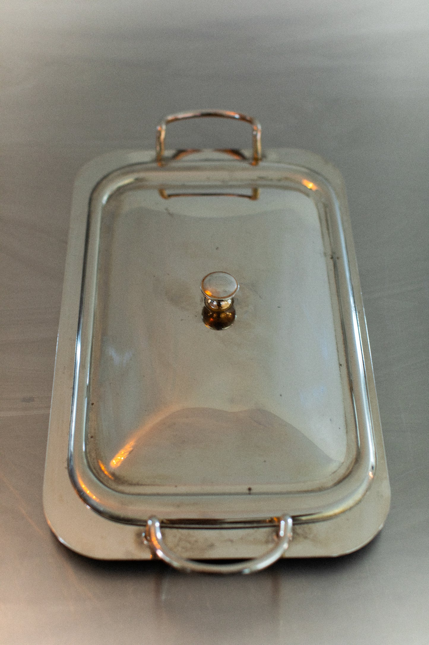 Stainless Steel Tray